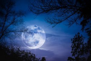 ¡Al gratín! Habrá Planetario nocturno este sábado santo