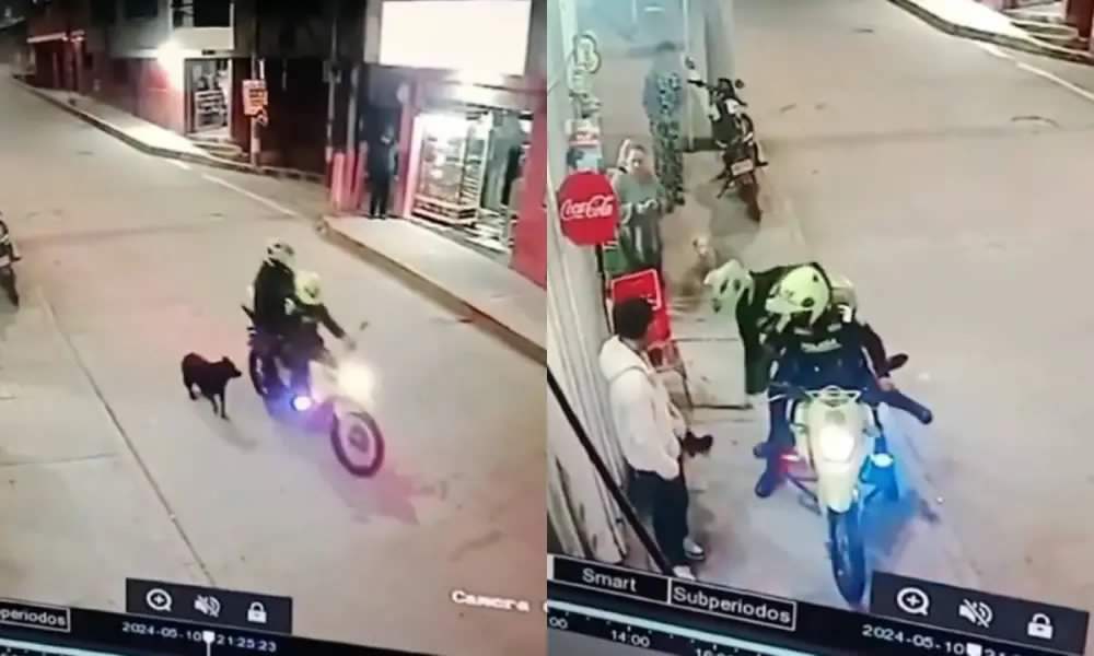 ¡VIDEO! Policía separó de sus cargos a los dos uniformados envueltos en caso de maltrato animal a una perra en Bogotá