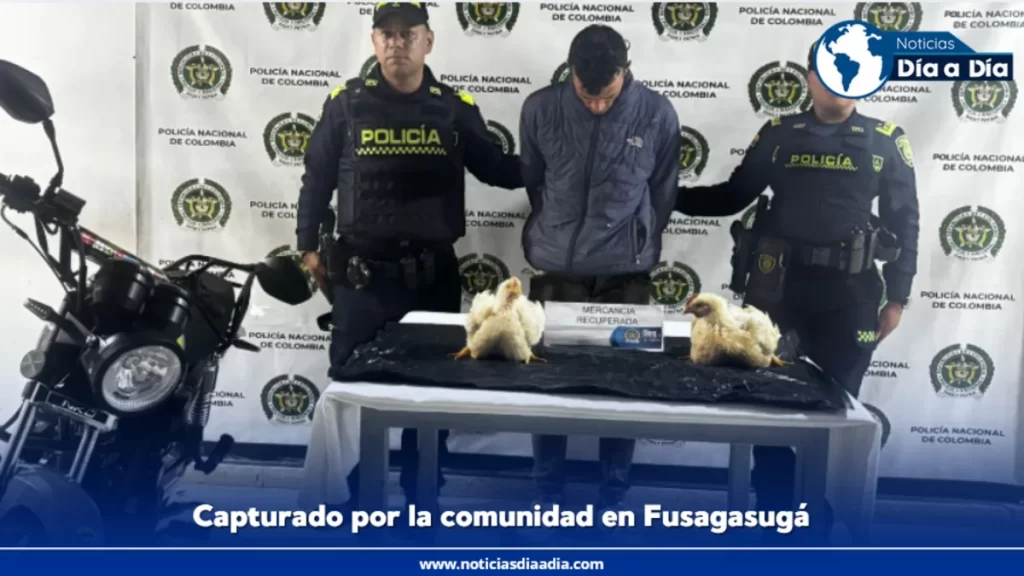 Red ciudadana evita robo a granja avícola y facilita captura del ladrón en Fusagasugá
