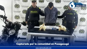 Red ciudadana evita robo a granja avícola y facilita captura del ladrón en Fusagasugá