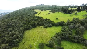 Chía protege el agua con 34 nuevos predios