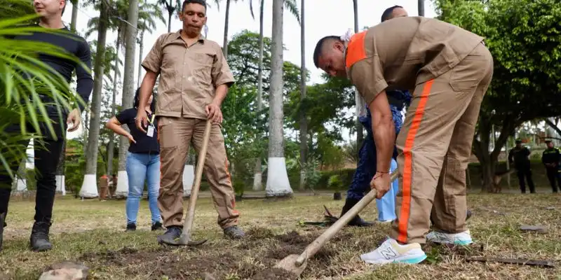 Internos embellecen espacios públicos en Villeta