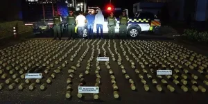 Caen tres homicidas y decomisan 350 kilos de marihuana en Cundinamarca