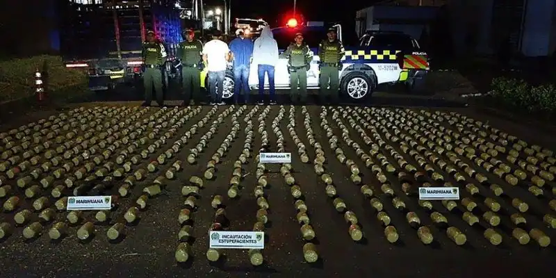 Caen tres homicidas y decomisan 350 kilos de marihuana en Cundinamarca