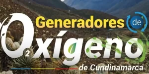 Convocatoria abierta para diplomado en restauración ecológica