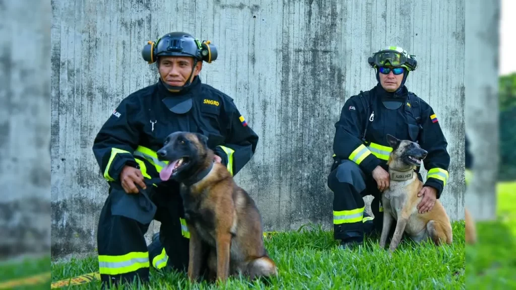 ¡Con cuatro perros rastreadores! Equipo élite de rescate de Colombia ya está en Venezuela