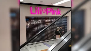 «No abandonaron el país»: Lili Pink rompe el silencio sobre el paradero de sus dueños y su proceso judicial